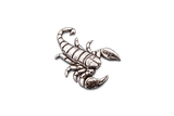 Handcrafted pewter scorpion pin badge featuring a detailed arachnid design with butterfly clutch fastening on a white background.