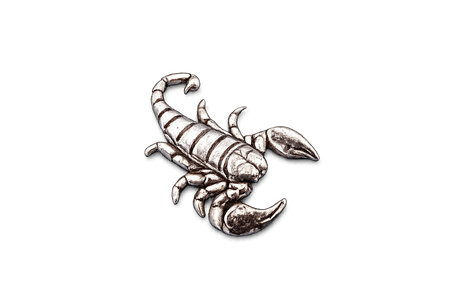 Handcrafted pewter scorpion pin badge featuring a detailed arachnid design with butterfly clutch fastening on a white background.