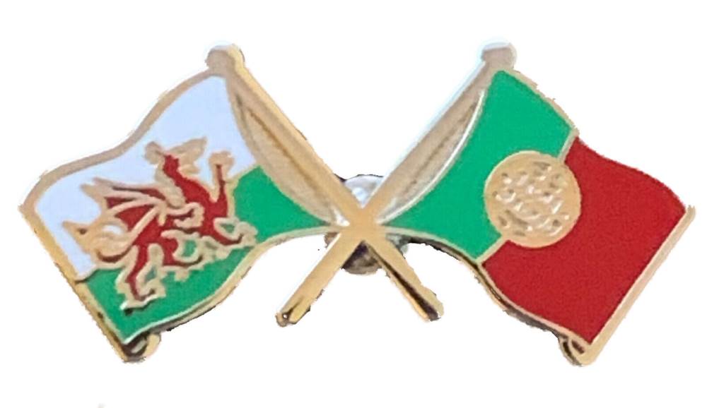 Wales & Portugal Flags Friendship Courtesy enamel Lapel Pin Badge T442 image 3