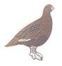 FAMOUS GROUSE QUALITY HARD ENAMEL LAPEL PIN BADGE NOW WITH FREE UK POSTAGE image 0