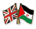 United Kingdom & Western Sahara Friendship Flags Enamel Lapel Pin Badge image 0
