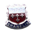 Shanklin Quality Enamel Lapel Pin Badge image 0