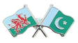 Wales & Pakistan Flags Friendship Courtesy  enamel  Lapel Pin Badge T1011 image 0