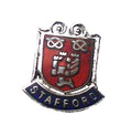 Stafford Quality Enamel Lapel Pin Badge image 0