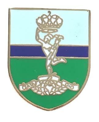 Royal Corps of Signals Regiment - MOD Military Approved Army Enamel Badge-M064 image 0
