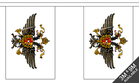 Flagmania 1st The Queens Dragoon Guards Bunting, 9 metre bunting