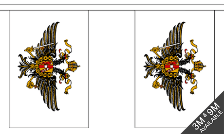 Flagmania 1st The Queens Dragoon Guards Bunting, 9 metre bunting