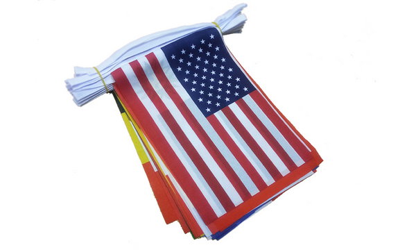 Flagmania World Cup Bunting (10m Length)