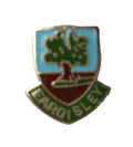 Eardisley Herefordshire Quality Enamel Lapel Pin Badge image 0