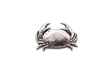 Handcrafted pewter crab pin badge featuring a detailed coastal marine design with butterfly clutch fastening on a white background.