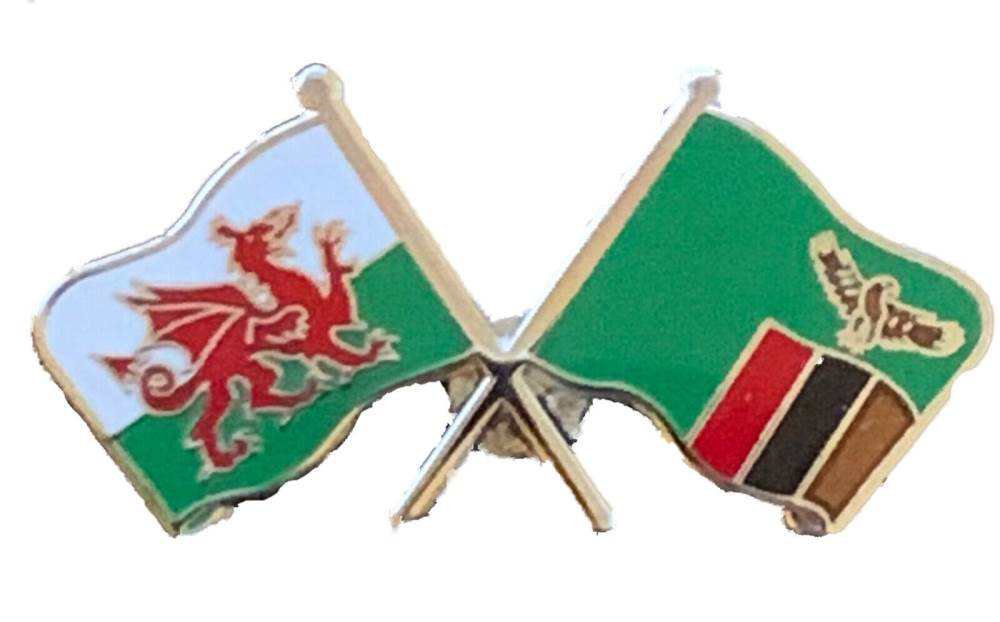 Wales & Zambia Flags Friendship Courtesy enamel  Lapel Pin Badge T1092 image 1