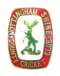 Nottinghamshire County Cricket Club Sports Enamel Lapel Pin Badge image 0