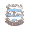 Paignton Town Coat Of Arms Quality Enamel Lapel Pin Badge image 0