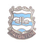 Paignton Town Coat Of Arms Quality Enamel Lapel Pin Badge image 0