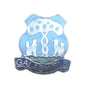 Galashiels Quality Enamel Lapel Pin Badge image 0