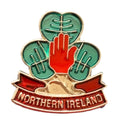 Northern Ireland Red Hand Quality Enamel Lapel Pin Badge T122 image 0