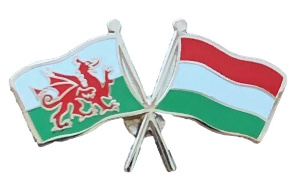 Wales & Hungary Flags Friendship Courtesy  enamel  Lapel Pin Badge T792 image 1