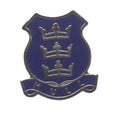 Hull Hard Enamel Quality Lapel Pin Badge image 0