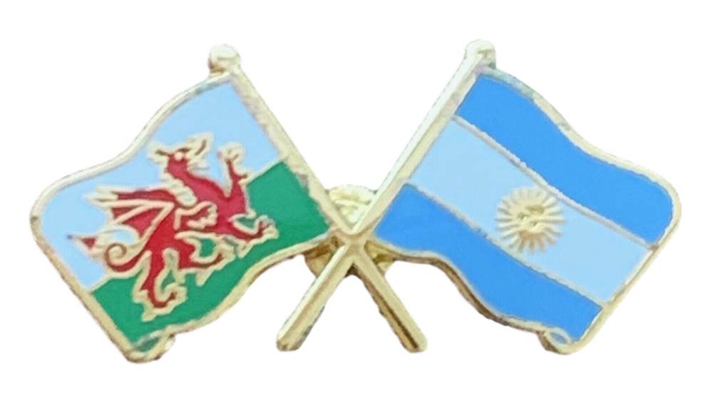 Wales & Argentina Flags Friendship Courtesy Enamel Lapel Pin Badge T622 image 2