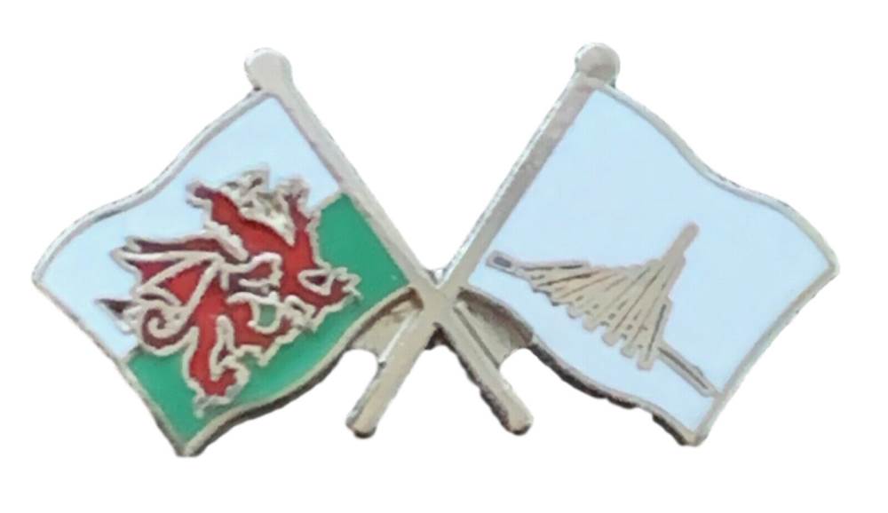 Wales & Rhone Alps Flags Friendship Courtesy enamel  Lapel Pin Badge T859 image 2