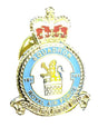 Royal Air Force 101 Squadron MOD Approved Military Enamel Lapel Badge image 0