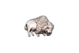 Handcrafted pewter American bison pin badge featuring a detailed buffalo design with butterfly clutch fastening on a white background.