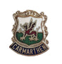 Carmarthen Wales Quality Enamel Lapel Pin Badge image 0