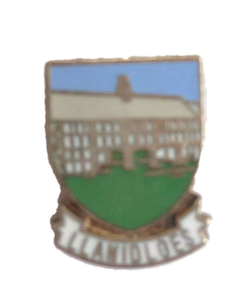 Llanidoes Wales Crest Quality Enamel Lapel Pin Badge image 0