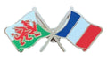Wales & France Flags Friendship Courtesy Enamel Lapel Pin Badge T169 image 0