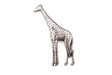 Detailed pewter giraffe pin badge with butterfly clutch fastening on a white background.