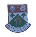 Bingley UK Quality Enamel Lapel Pin Badge image 0