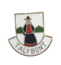 Tal y Bont Quality Enamel Lapel Pin Badge image 0