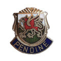 Pendine Carmarthenshire Wales Crest Quality Enamel Lapel Pin Badge image 0