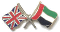 Great Britain & U.A.E. Flags Friendship Courtesy Enamel Lapel Pin Badge image 0