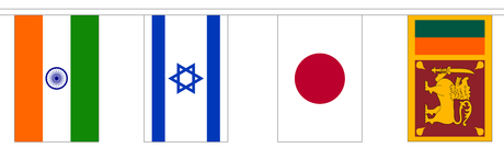 Flagmania 44 Asian Nations Bunting (13m Length)