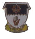 Tyrone Ireland Quality Enamel Lapel Pin Badge (D2) image 0