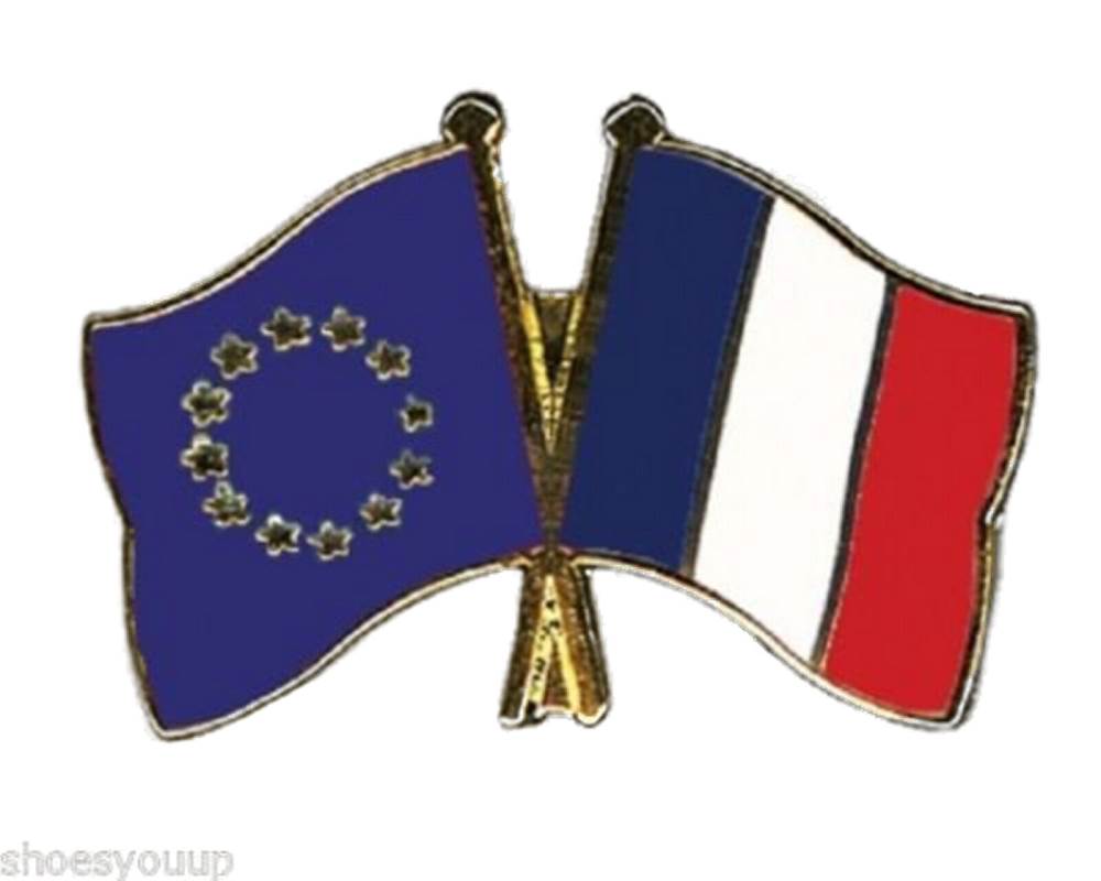EU European Union & France Flags Friendship Courtesy Enamel Lapel Pin Badge image 0