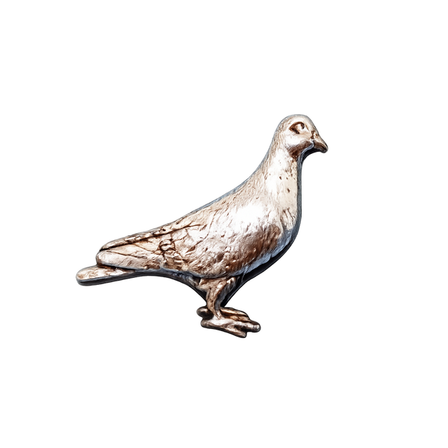 Handcrafted pewter pigeon pin badge featuring a detailed British bird design.