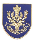 Queen's Own Highlanders - MOD Military Approved Army Enamel Lapel Pin Badge image 0