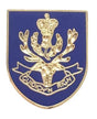 Queen's Own Highlanders - MOD Military Approved Army Enamel Lapel Pin Badge image 0