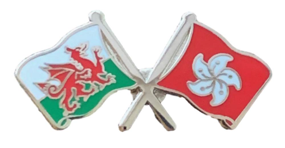 Wales & Hong Kong Flags Friendship Courtesy enamel  Lapel Pin Badge T862 image 0