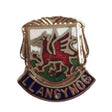 Llangynog Wales Quality Enamel Lapel Pin Badge image 0