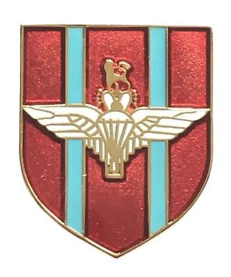Paratroops Paras Parachute Regiment British Military Enamel Lapel Pin Badge image 0