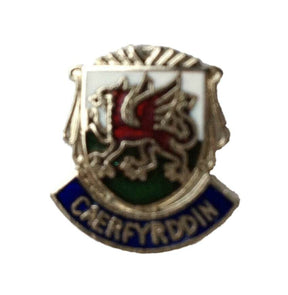 Caerfyrddin Carmarthen Wales Quality Enamel Lapel Pin Badge image 0
