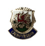 Caerfyrddin Carmarthen Wales Quality Enamel Lapel Pin Badge image 0