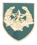 Cameronians Scottish Rifles - MOD Military Approved British Army Enamel Badge image 0