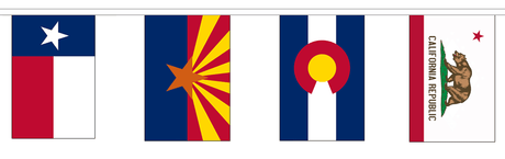Flagmania 50 US States Bunting (15m Length)