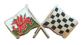 Wales & Chequered Flags Friendship Courtesy Enamel Lapel Pin Badge T741 image 0