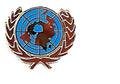 United Nations Gold Coloured Hard Enamel Pin Badge image 0