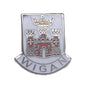 Wigan Quality Enamel Lapel Pin Badge image 0